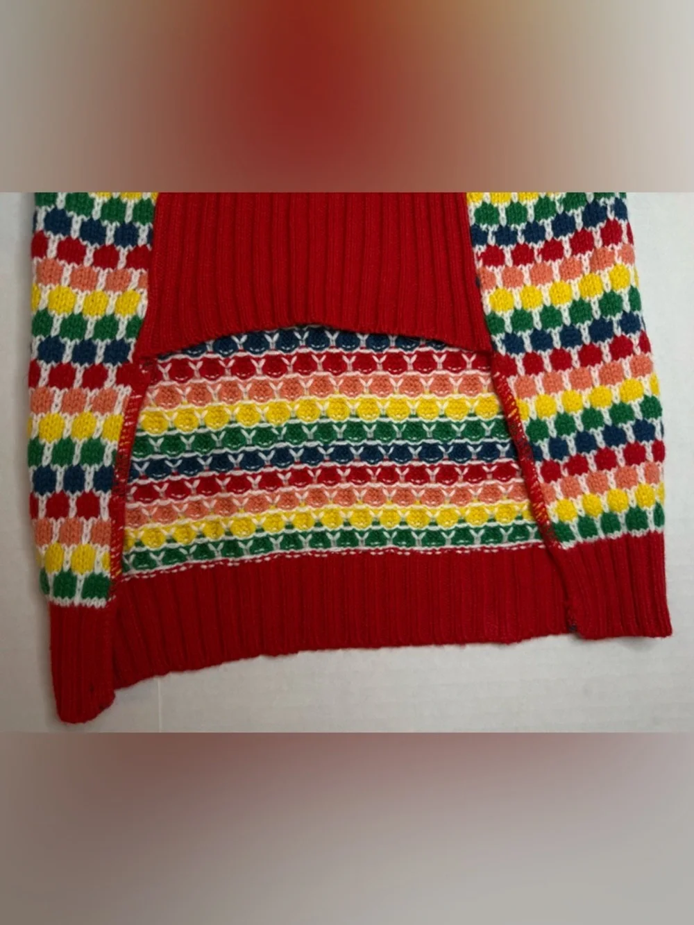 Wondershop Dog Christmas Sweater Rainbow Knit Multicolor Red Edging